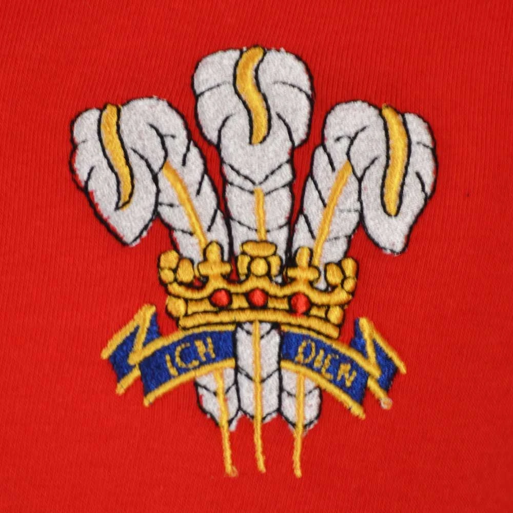 Wales Rugby World Cup Polo - Image 3