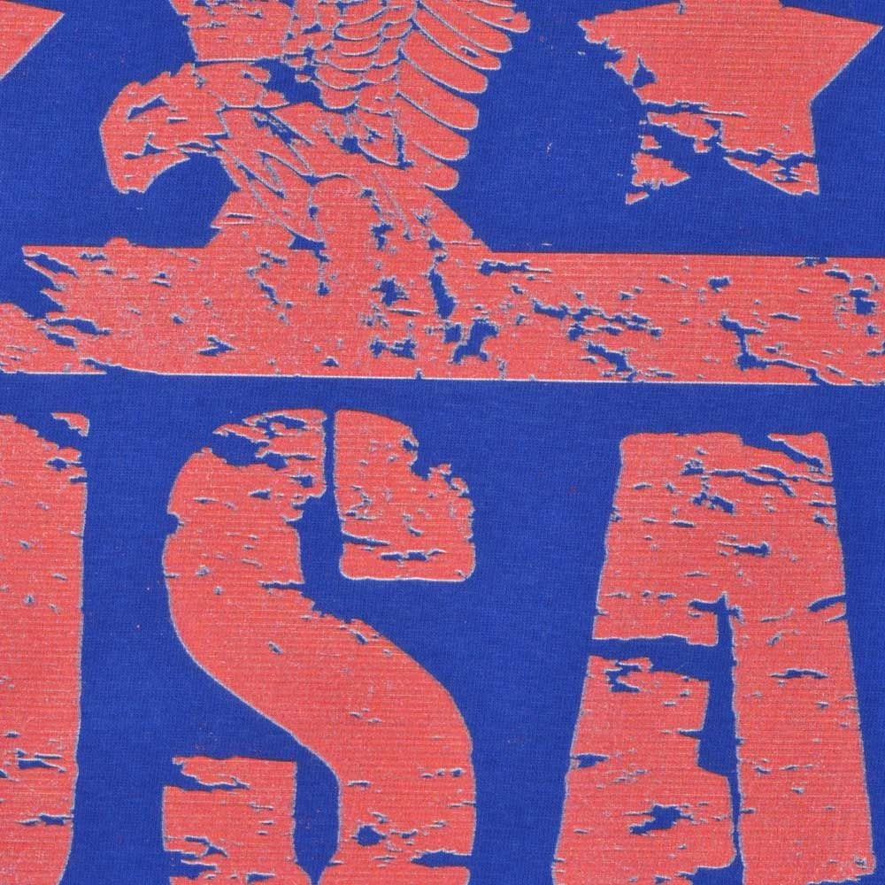 USA T-Shirt - Royal/White Ringer - Image 2